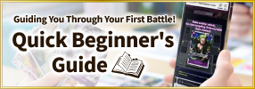 Quick Beginner's Guide